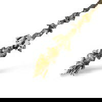 Cajado da Besta Bishui