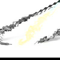 Cajado de Loong Dourado