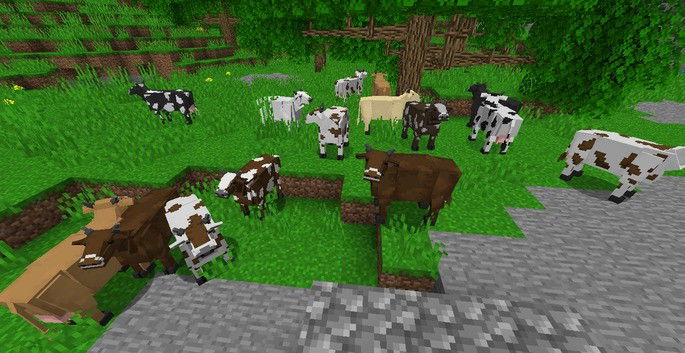 Better Animal Models