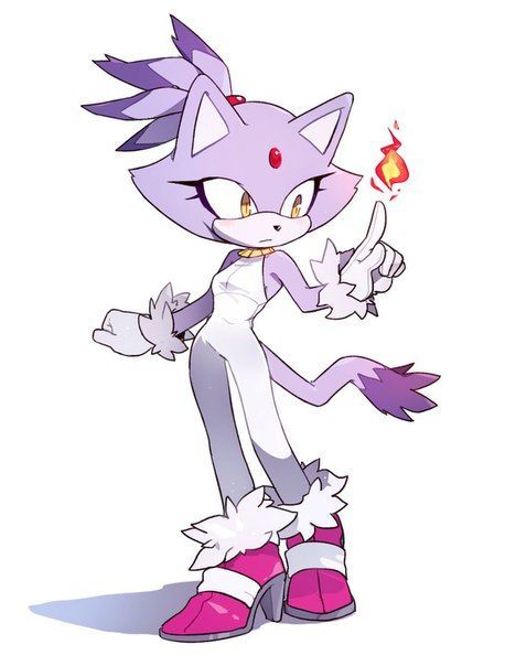 blaze the cat