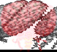 Brain of Cthulhu - Terraria
