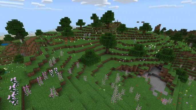 Campo florido seed minecraft