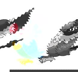 Chatot - Pokémon GO