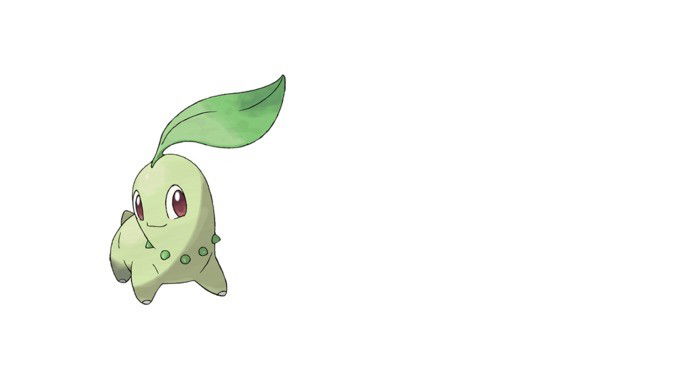 Chikorita pokémon do tipo grama, ela possui um tom de pele esverdeado e uma grande folha que sai do topo da cabeça.