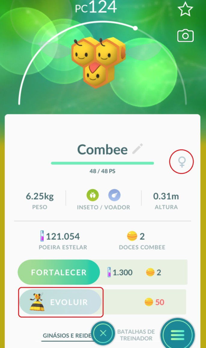 Combee Fêmea - Pokémon GO