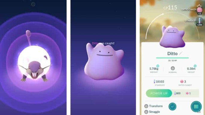 Ditto - Pokémon GO