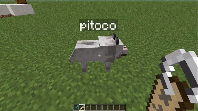 Etiqueta - Name Tag - Minecraft