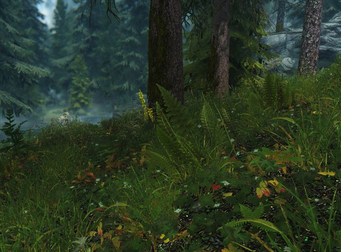 Flora mod skyrim