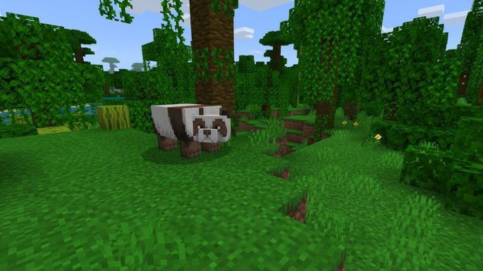 floresta do panda seed