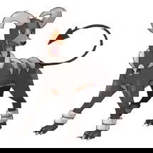 Melhores pokémons de cada tipo - Pokémon GO