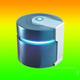 Metal Coat
