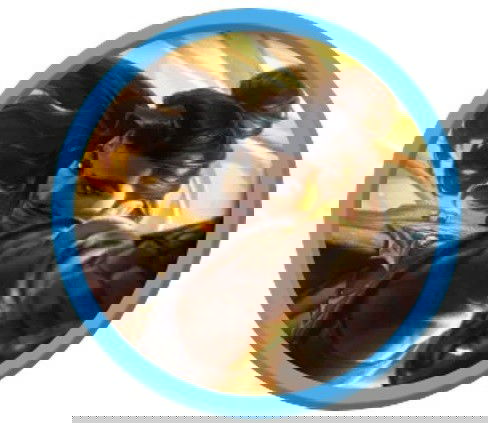 Melhores campeões LOL