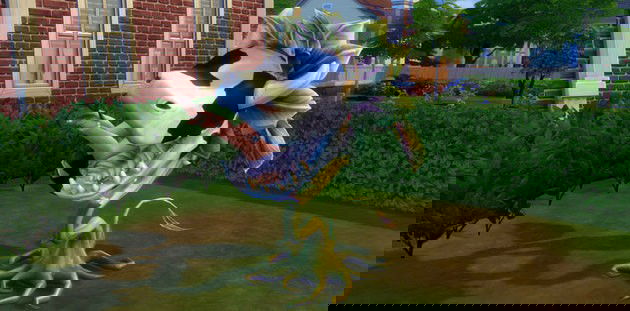 Planta Vaca - Comida