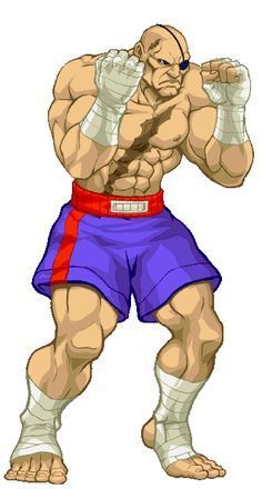 sagat
