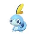 sobble
