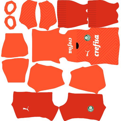 Terceiro uniforme do goleiro do Palmeiras para DLS 2024