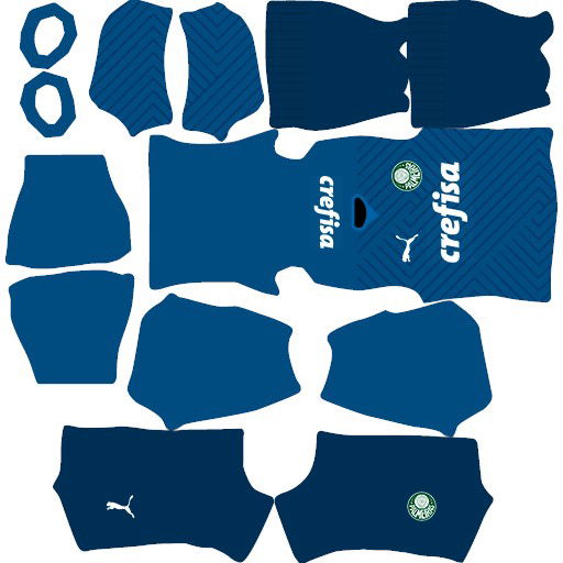 Uniforme titular do goleiro do Palmeiras para DLS 2024